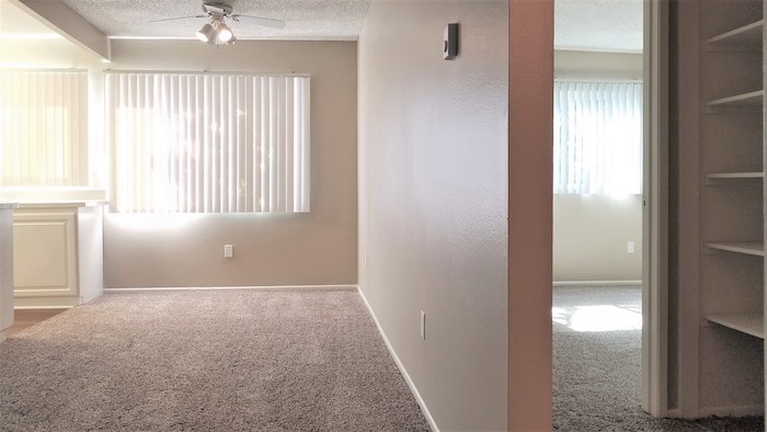 Bedroom and living area with plush carpeting, large windows letting in natural sunlight. Large shelved closet with plenty of storage.
