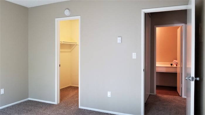 Bedroom with large walk-in closet